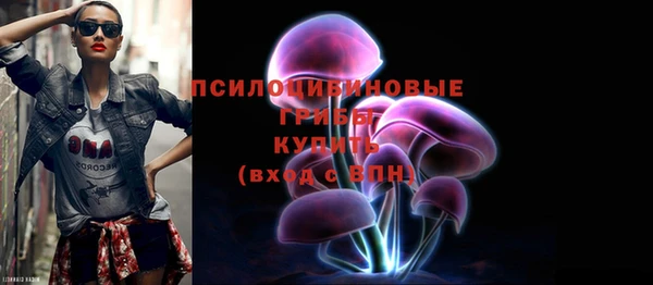 ешки Аркадак