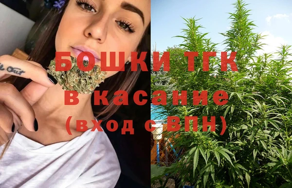 ешки Аркадак