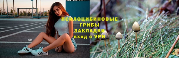 ешки Аркадак