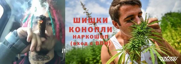 ешки Аркадак